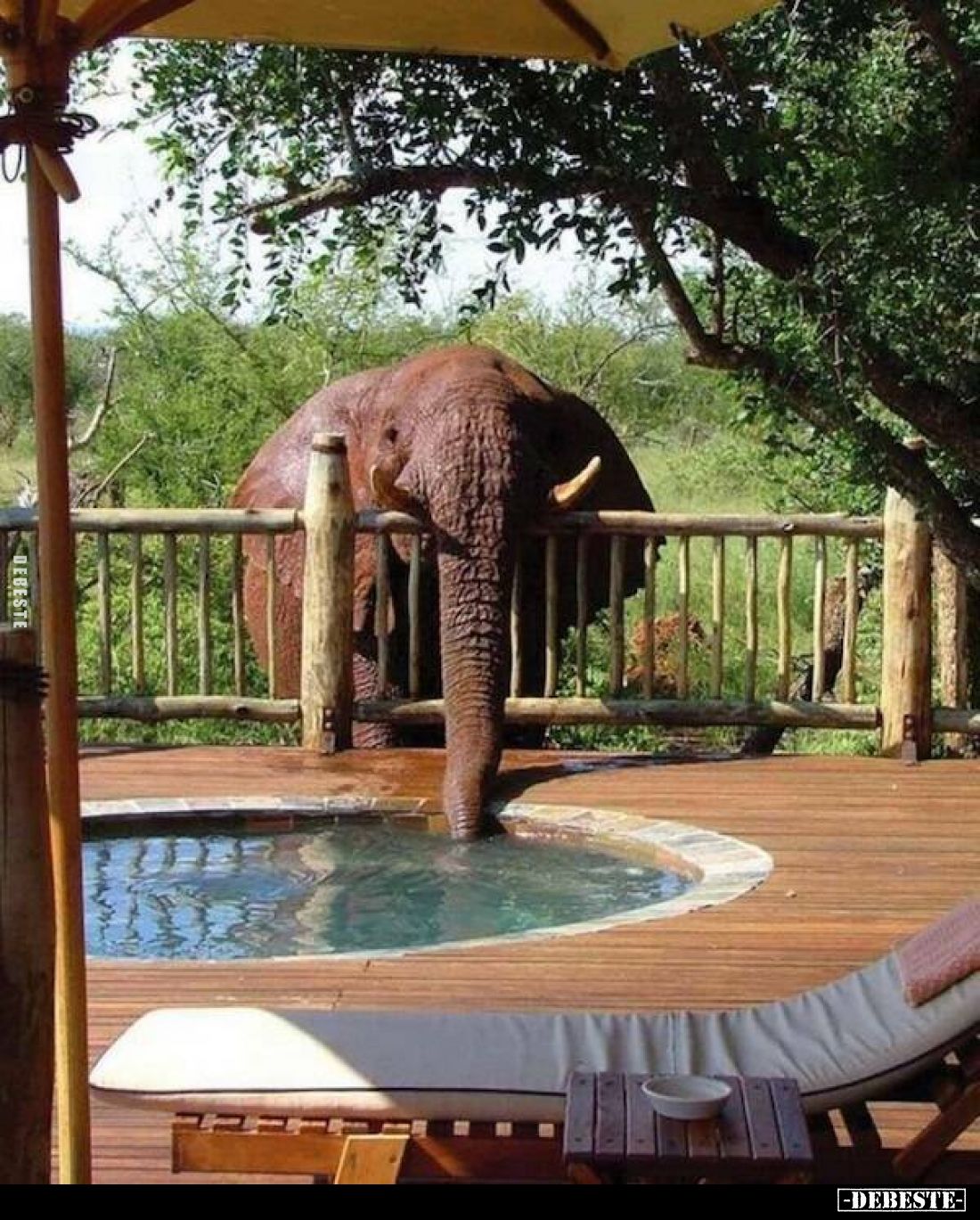  - Lustige Bilder | DEBESTE.de