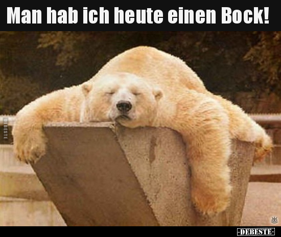 Man hab ich heute einen Bock!..