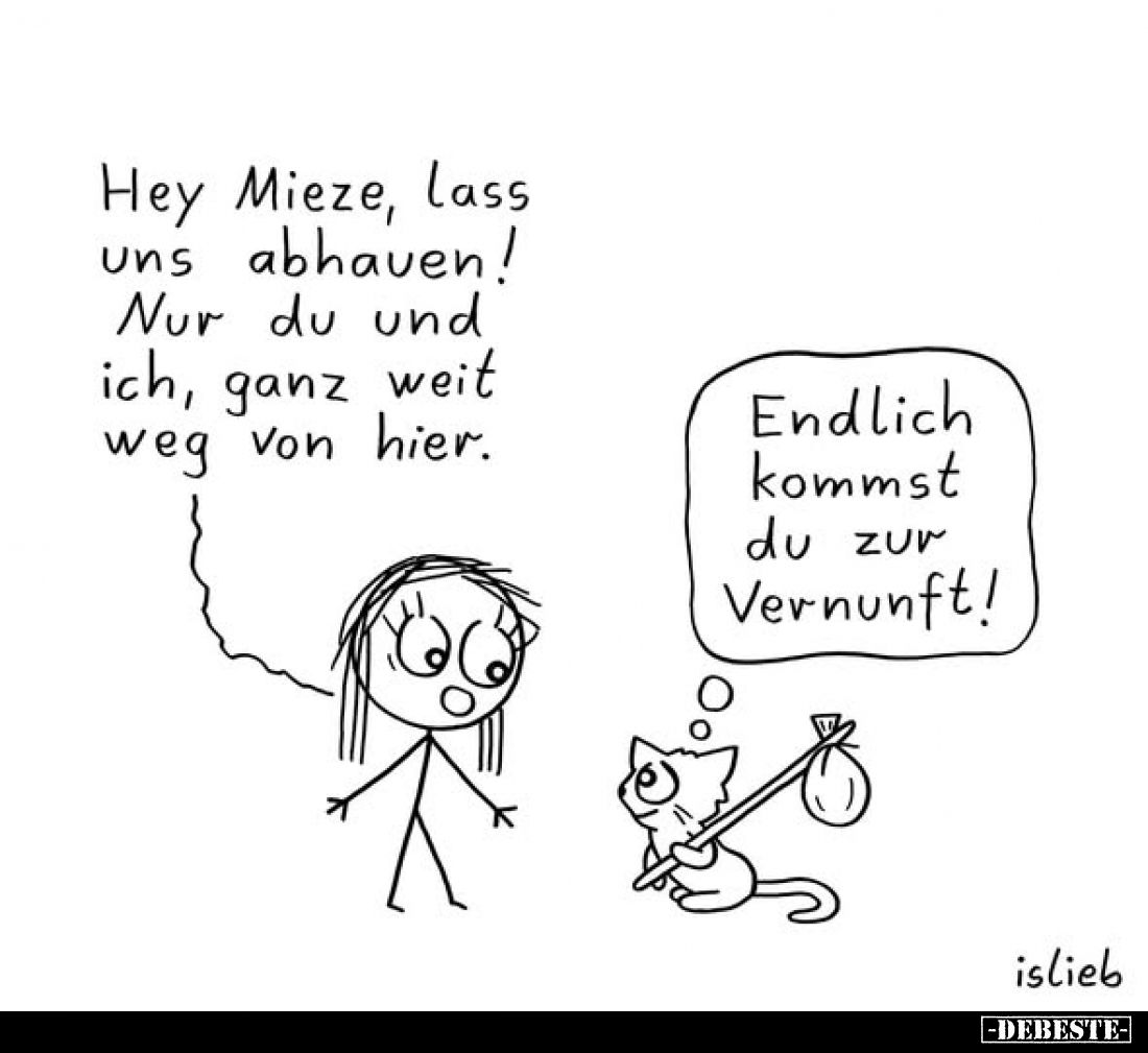 Hey Mieze, lass uns abhauen! Nur du und ich, ganz weit weg von hier.
Endlich kommst du zur Vernunft!