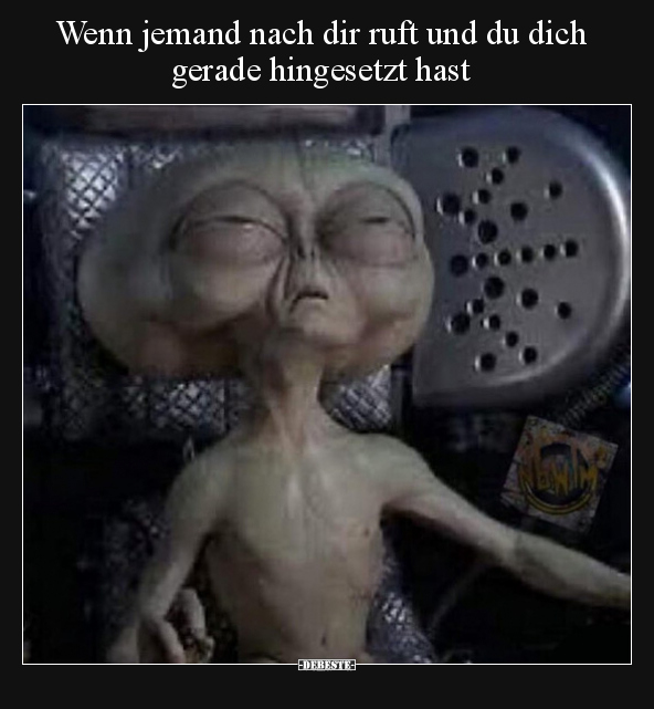 Wenn jemand nach dir ruft und du dich gerade hingesetzt.. - Lustige Bilder | DEBESTE.de