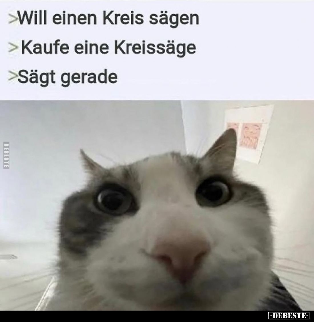 >Will einen Kreis sägen.. - Lustige Bilder | DEBESTE.de