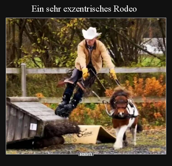 Ein sehr exzentrisches Rodeo.. - Lustige Bilder | DEBESTE.de