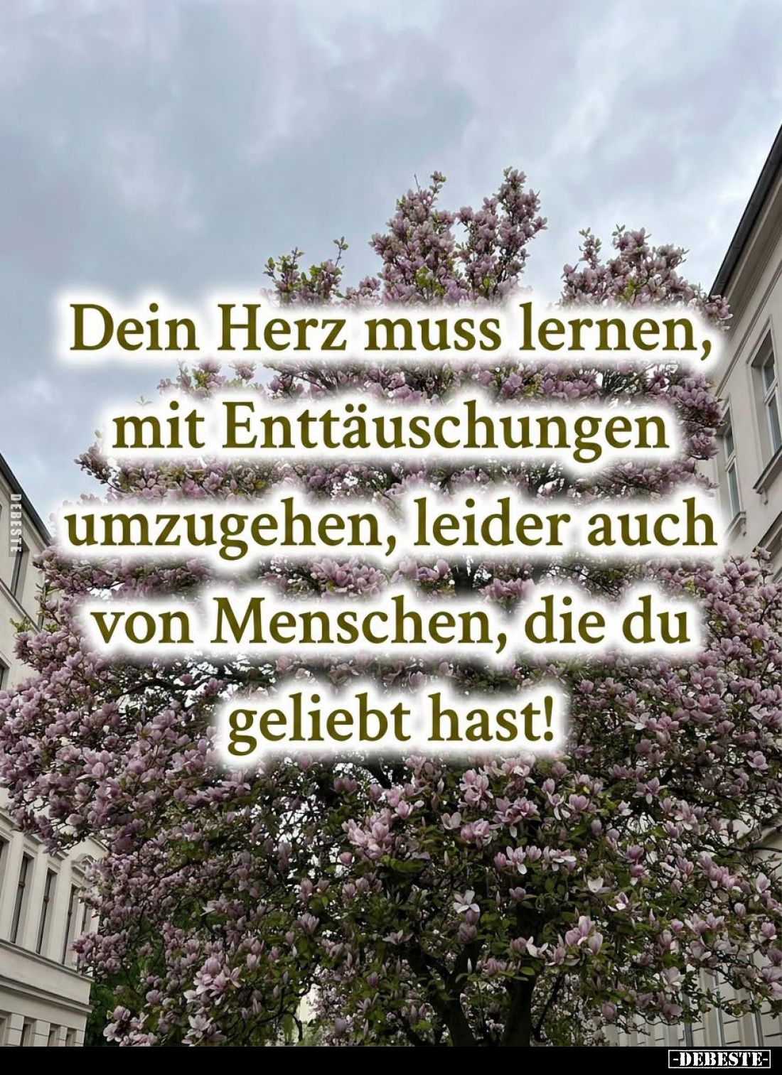 Dein Herz muss lernen, mit Enttäuschungen umzugehen, leider auch von Menschen, die du geliebt hast!