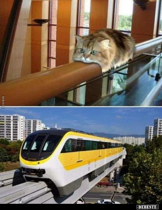  - Lustige Bilder | DEBESTE.de