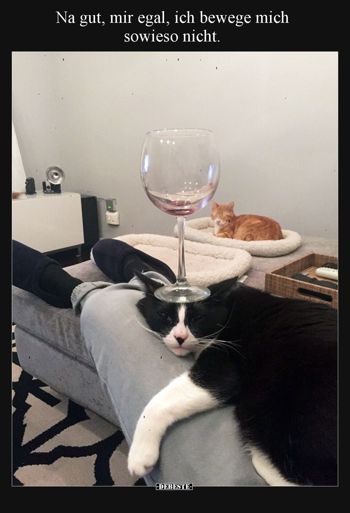 Na gut, mir egal, ich bewege mich sowieso nicht.