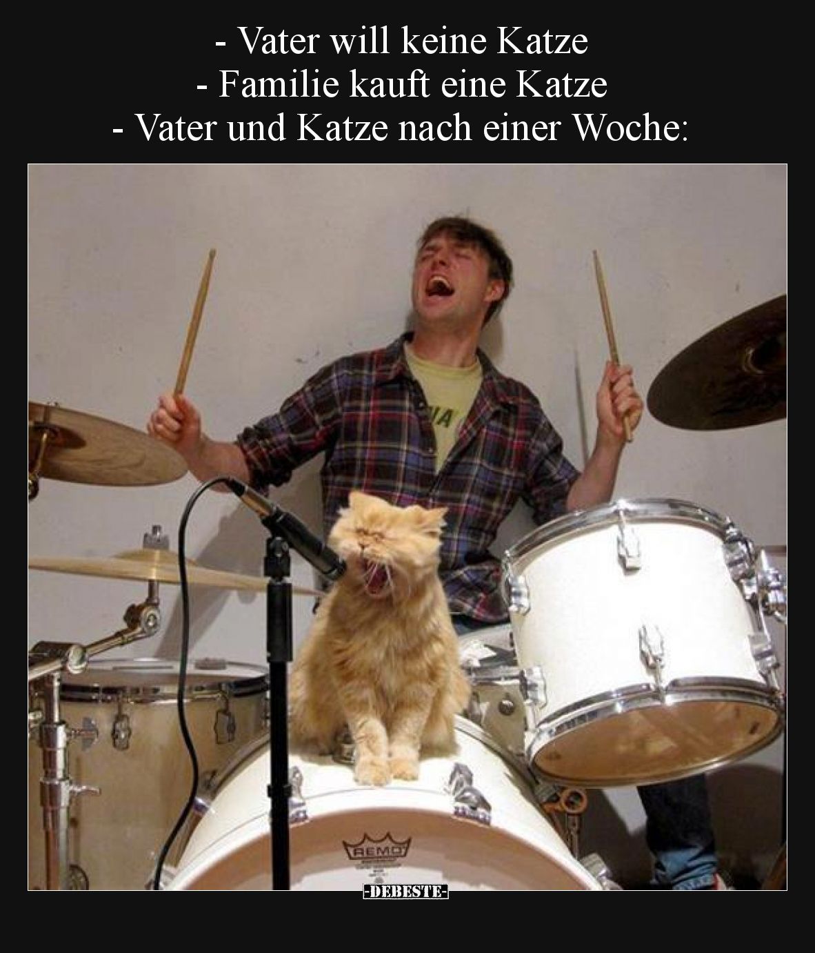 - Vater will keine Katze
- Familie kauft eine Katze
- Vater und Katze nach einer Woche: