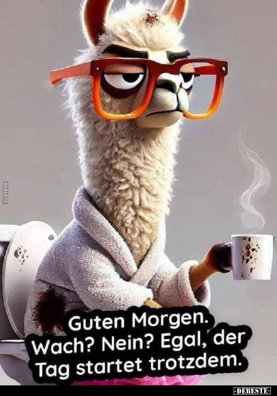 Guten Morgen, Morgen, Wach, Nein, Egal