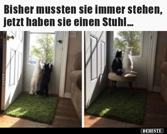 Bisher mussten sie immer stehen, jetzt haben sie einen..