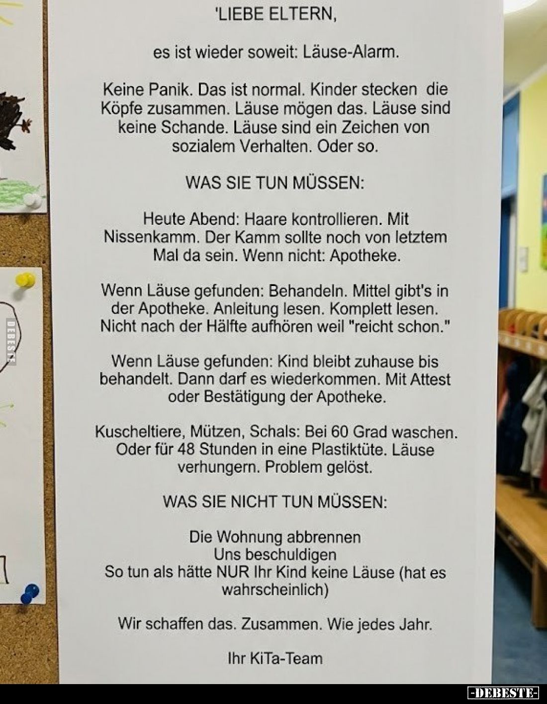 LIEBE ELTERN, es ist wieder soweit: Läuse-Alarm.. - Lustige Bilder | DEBESTE.de