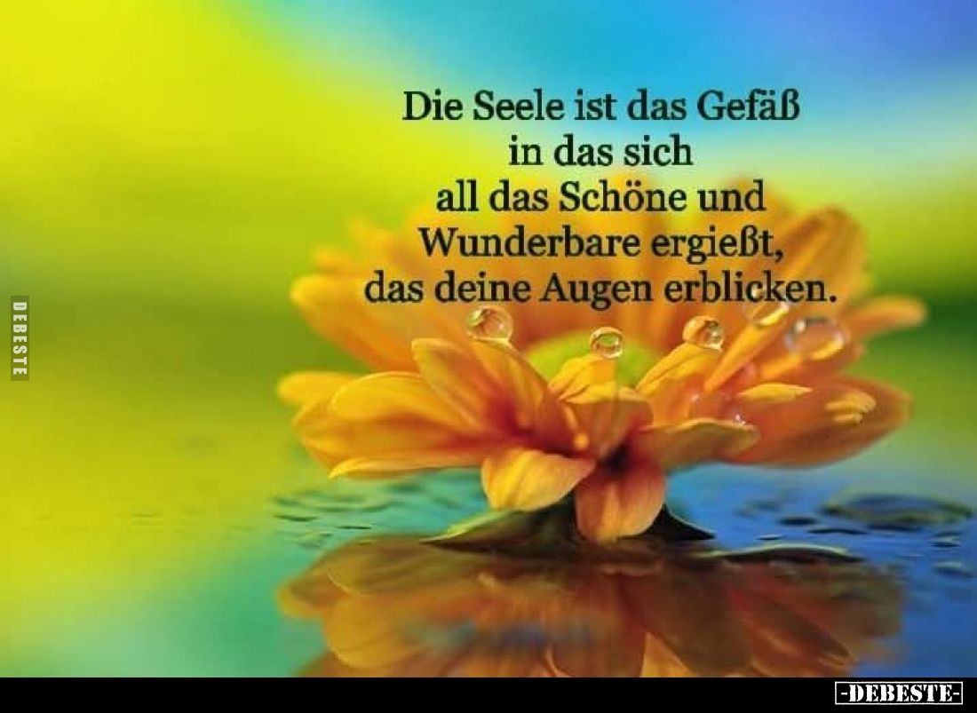 Die Seele ist das Gefäß in das sich all das Schöne und Wunderbare ergießt, das deine Augen erblicken.