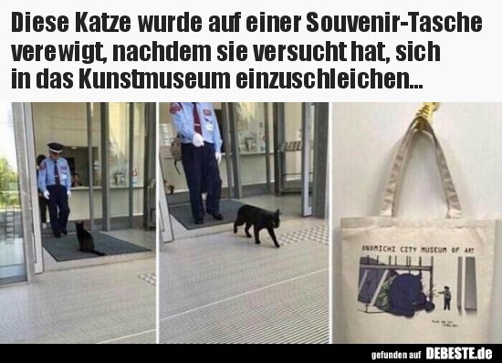 Diese Katze wurde auf einer Souvenir-Tasche verewigt..