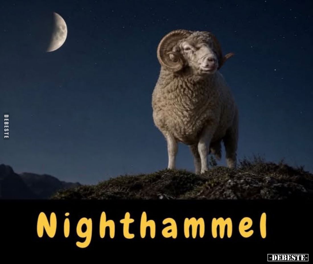 Nighthammel