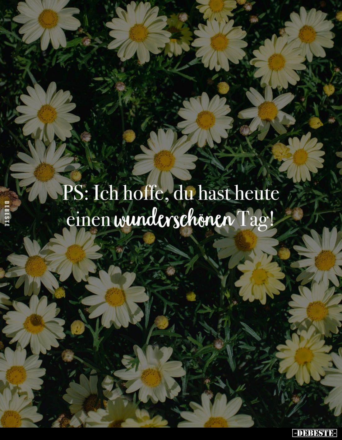 PS: Ich hoffe, du hast heute einen wunderschönen Tag!