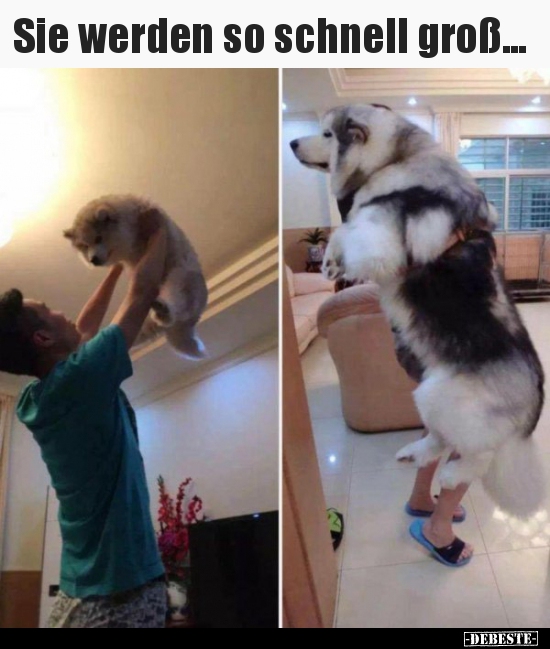 Sie werden so schnell groß...