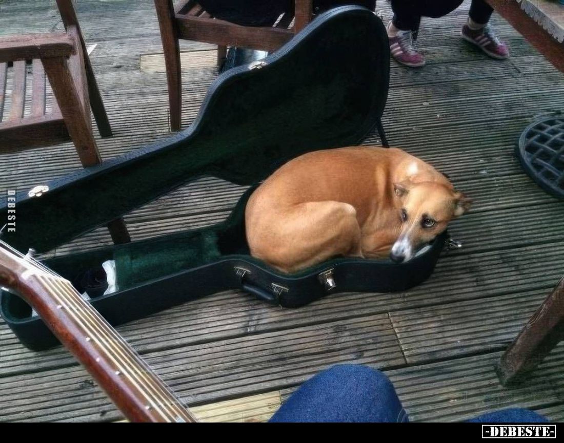  - Lustige Bilder | DEBESTE.de