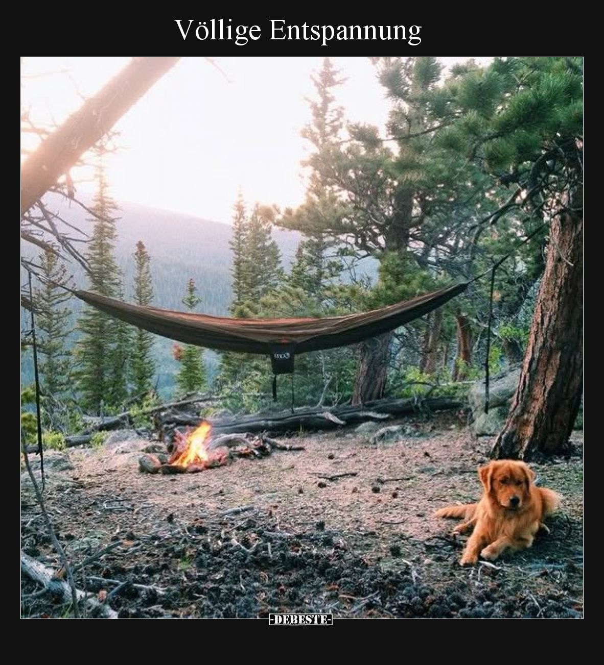 Völlige Entspannung.. - Lustige Bilder | DEBESTE.de