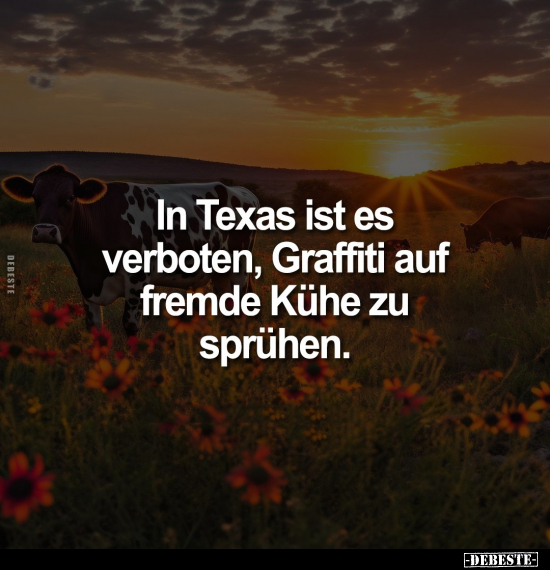 In Texas ist es verboten, Graffiti auf fremde Kühe zu.. - Lustige Bilder | DEBESTE.de