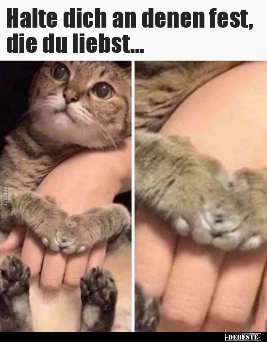 Halte dich an denen fest, die du liebst...