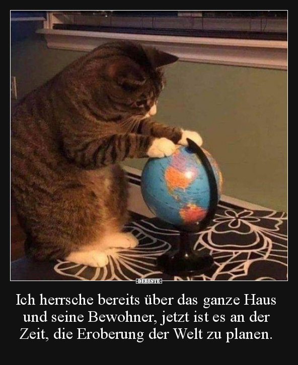 Ich herrsche bereits über das ganze Haus und seine..