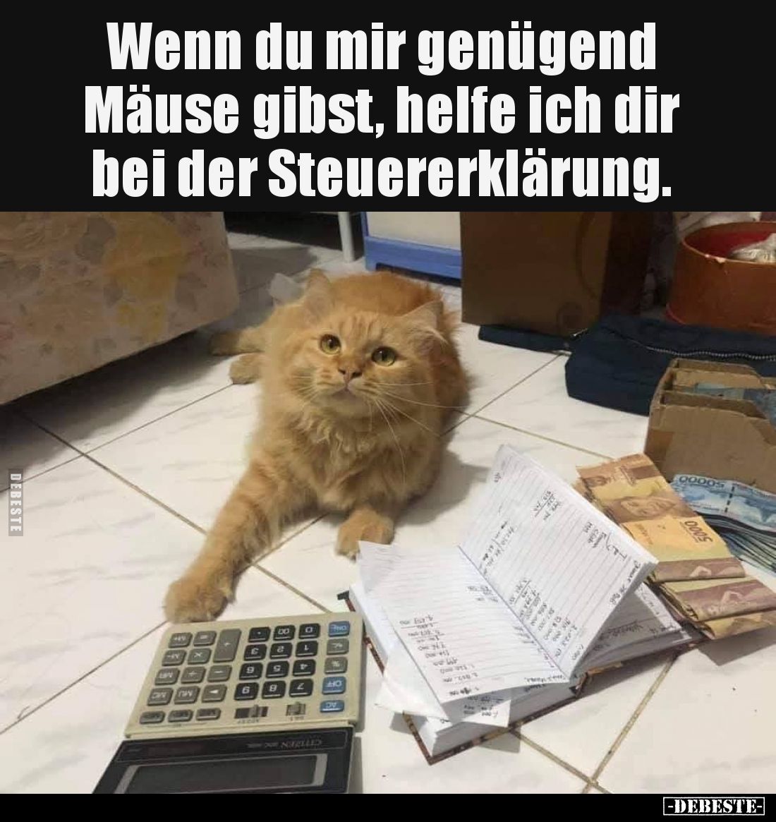 Wenn du mir genügend Mäuse gibst, helfe ich dir bei der Steuererklärung.