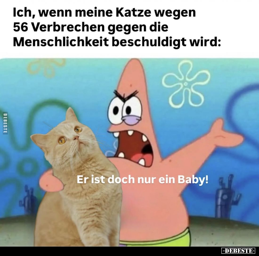 Ich, wenn meine Katze wegen 56 Verbrechen gegen die Menschlichkeit beschuldigt wird:
Er ist doch nur ein Baby!