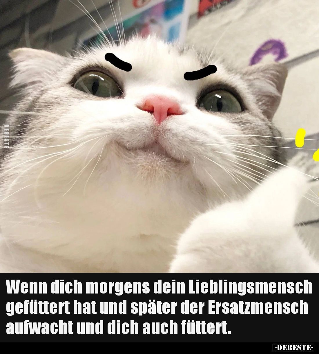 Wenn dich morgens dein Lieblingsmensch gefüttert hat und später der Ersatzmensch aufwacht und dich auch füttert.