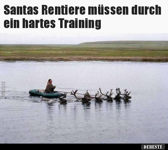 Santas Rentiere müssen durch ein hartes Training.. - Lustige Bilder | DEBESTE.de