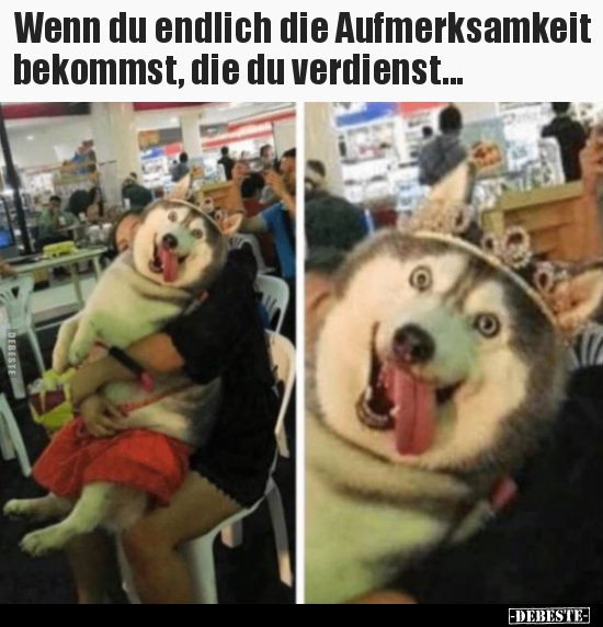 Wenn du endlich die Aufmerksamkeit bekommst, die du..