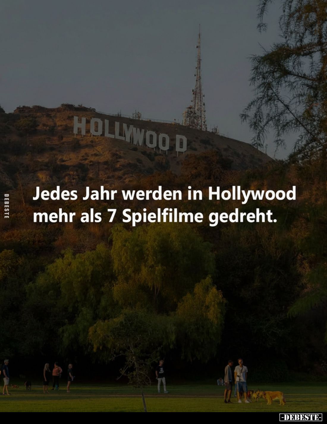 Jedes Jahr werden in Hollywood mehr als 7 Spielfilme gedreht.