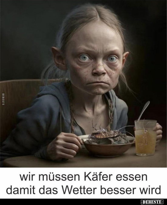 10 lustige Bilder Käfer - Seite (2) - DEBESTE.de