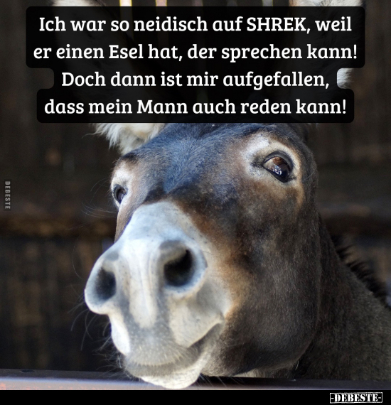 Ich war so neidisch auf SHREK.. - Lustige Bilder | DEBESTE.de