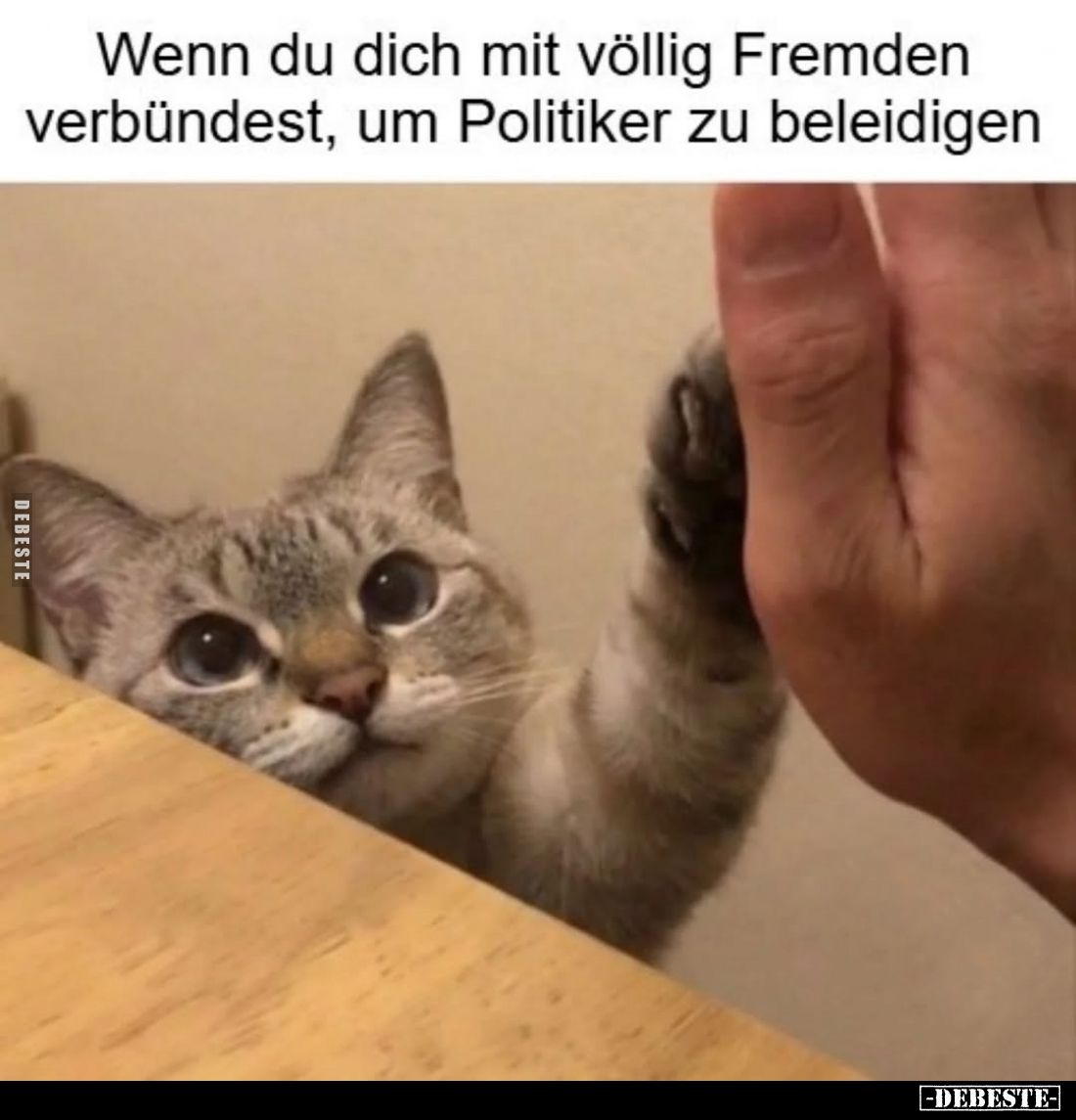 Wenn du dich mit völlig Fremden verbündest, um Politiker zu beleidigen.