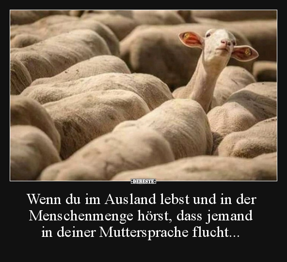 Wenn du im Ausland lebst und in der Menschenmenge hörst.. - Lustige Bilder | DEBESTE.de