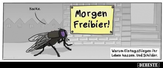 Morgen Freibier!.. - Lustige Bilder | DEBESTE.de