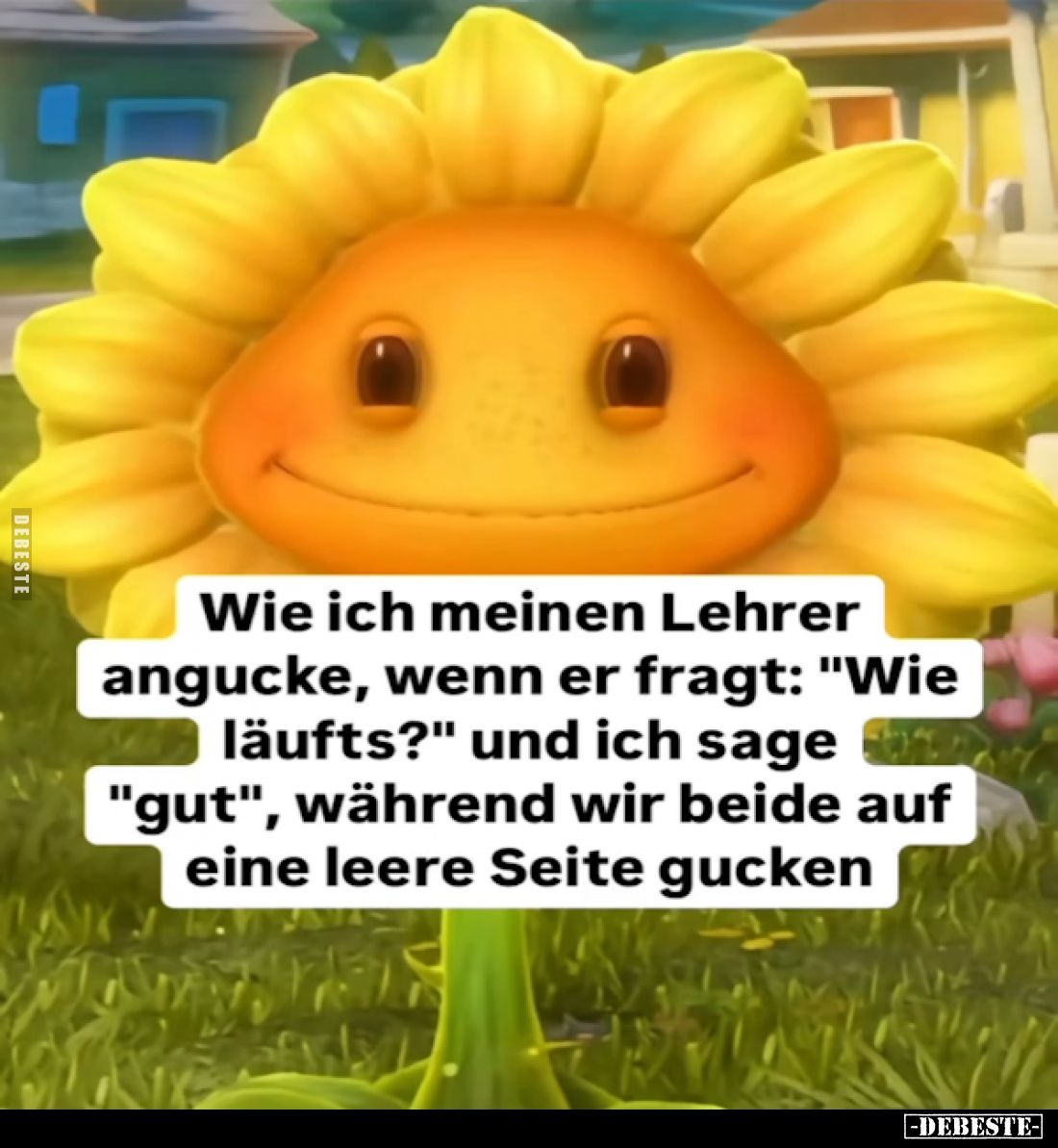Wie ich meinen Lehrer angucke, wenn er fragt: "Wie läufts?" und ich sage "gut", während wir beide auf ein...