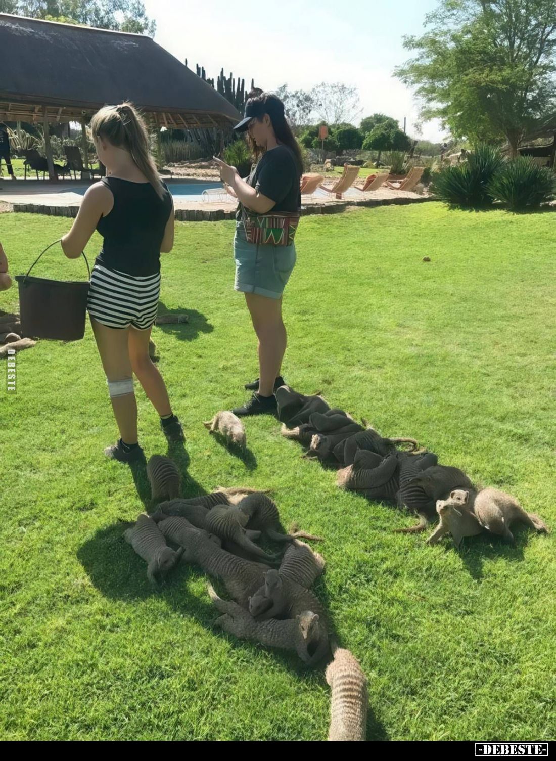  - Lustige Bilder | DEBESTE.de