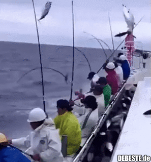 Massenfischfang...