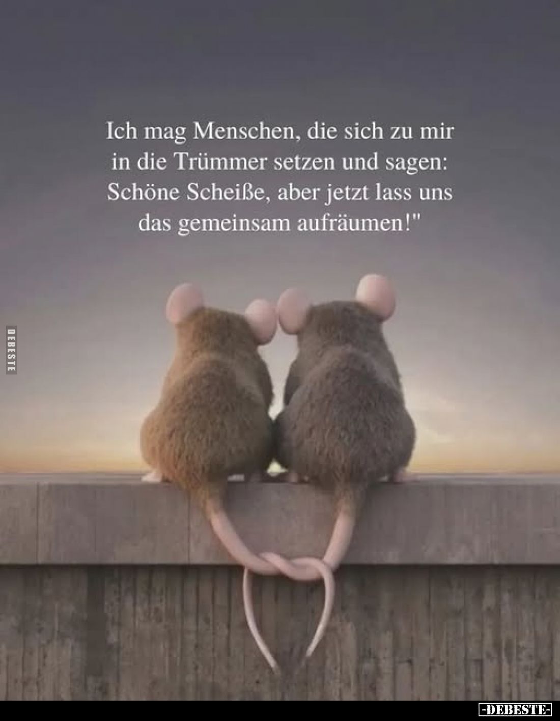 Ich mag Menschen, die sich zu mir in die Trümmer setzen und sagen: Schöne Scheiße, aber jetzt lass uns das gemeinsam aufräume...