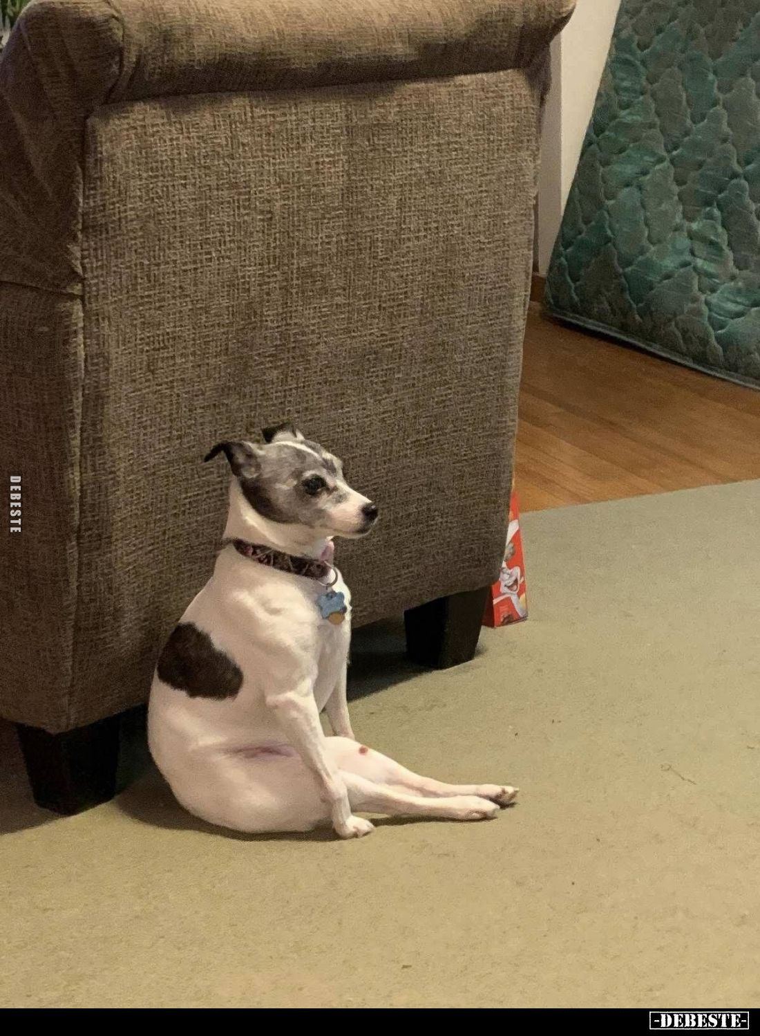  - Lustige Bilder | DEBESTE.de