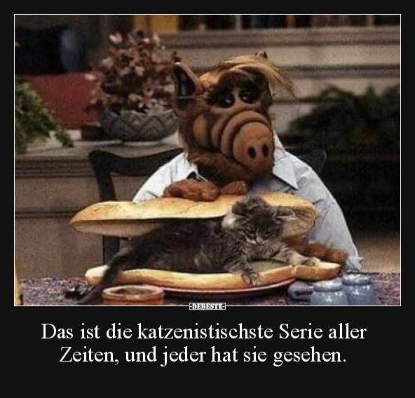 Das ist die katzenistischste Serie aller Zeiten, und jeder.. - Lustige Bilder | DEBESTE.de