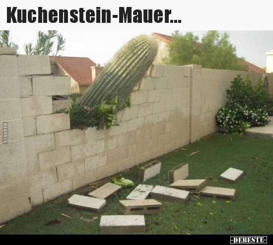 Kuchenstein-Mauer... - Lustige Bilder | DEBESTE.de