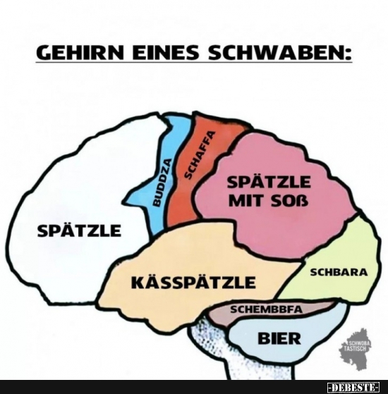 Gehirn Eines Schwaben Lustige Bilder Spruche Witze Echt Lustig