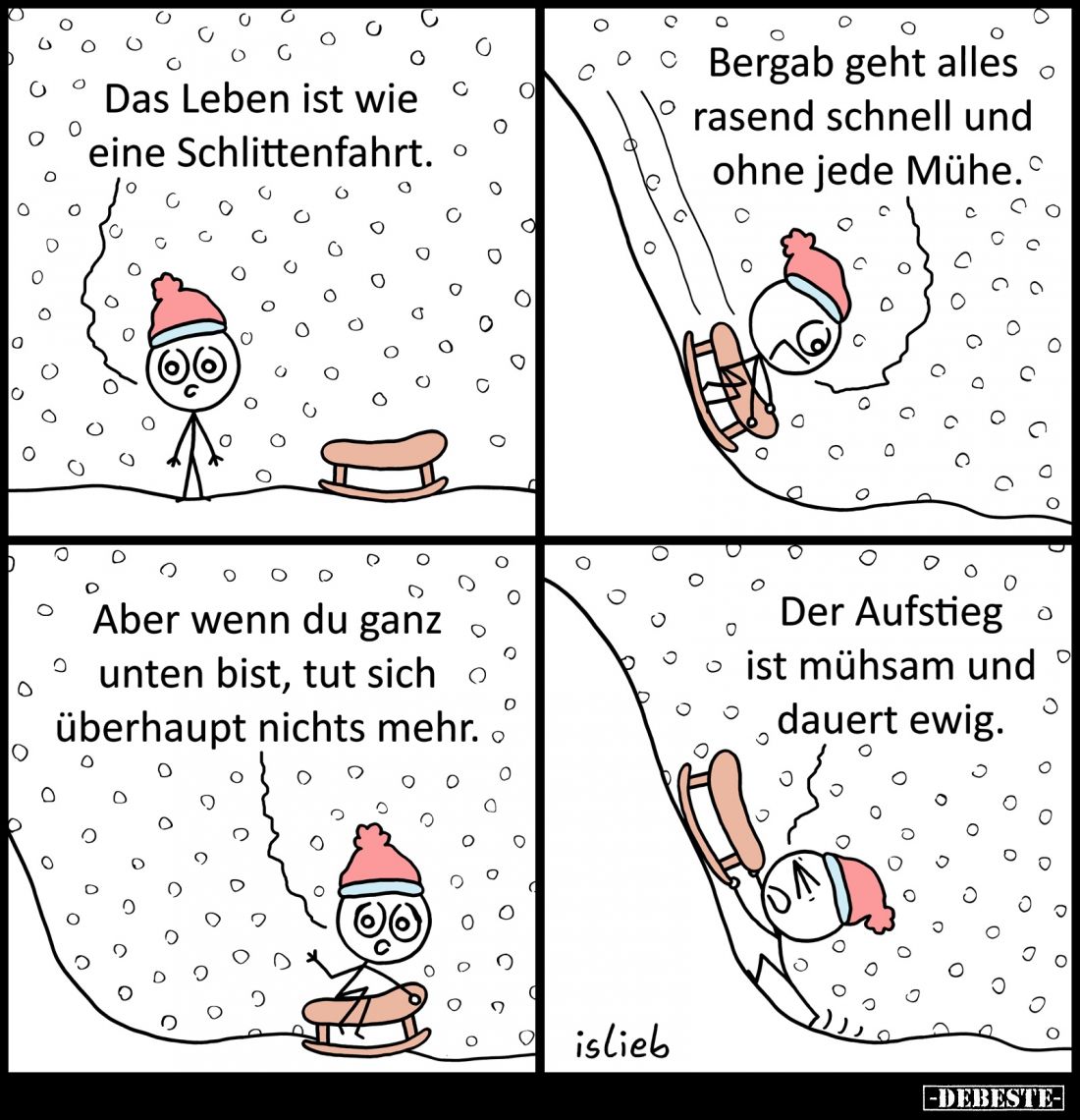 Das Leben ist wie eine Schlittenfahrt.. - Lustige Bilder | DEBESTE.de
