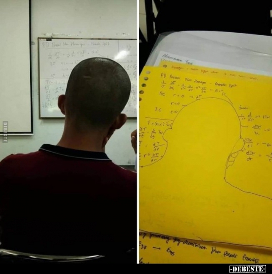  - Lustige Bilder | DEBESTE.de