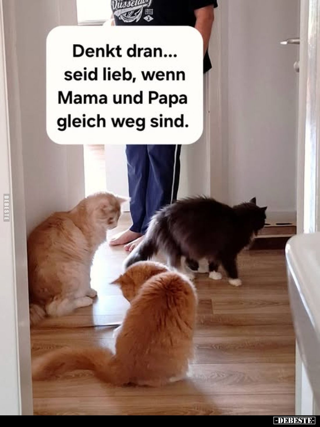 Denkt dran... seid lieb, wenn Mama und Papa gleich weg sind.