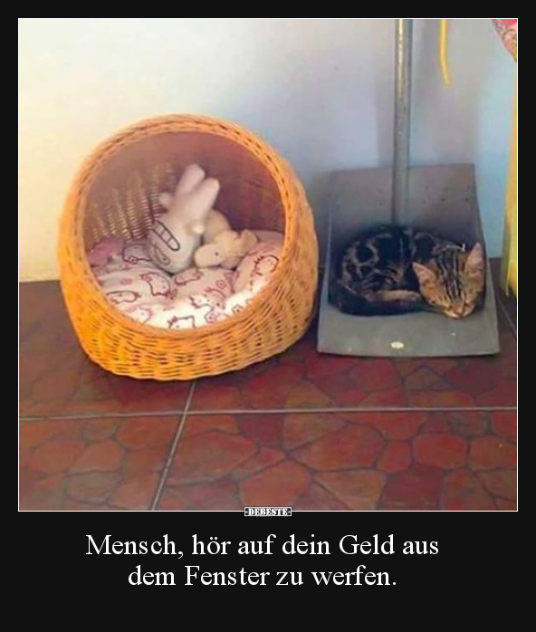 Mensch, hör auf dein Geld aus dem Fenster zu werfen... - Lustige Bilder | DEBESTE.de