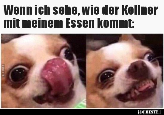 Wenn ich sehe, wie der Kellner mit meinem Essen kommt.. - Lustige Bilder | DEBESTE.de