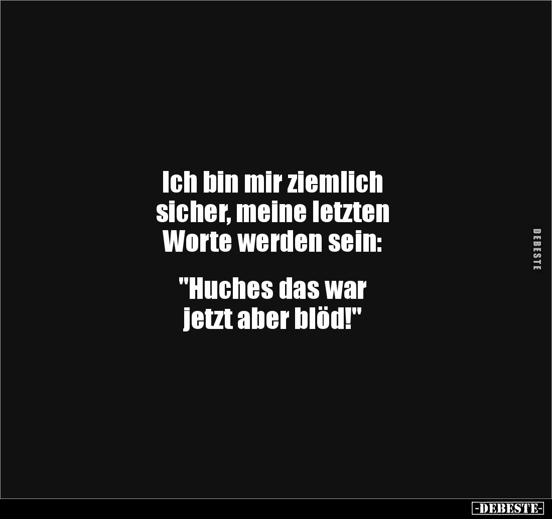 Ich bin mir ziemlich
sicher, meine letzten
Worte werden sein:
"Huches das war
jetzt aber blöd!"