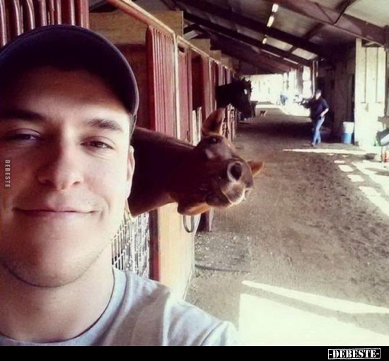  - Lustige Bilder | DEBESTE.de