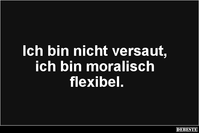 Ich bin nicht versaut, ich bin moralisch flexibel. - Lustige Bilder | DEBESTE.de